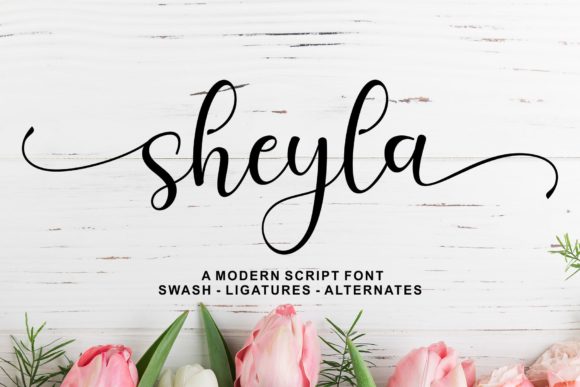 How Sheyla Script Gave My Small Business a Brand Upgrade