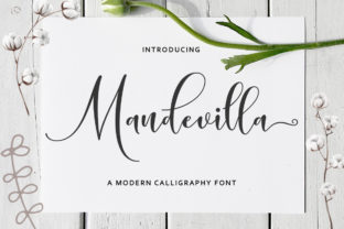Mandevilla Script: A Marketer’s Font for Authentic Campaigns