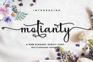 Molianty Script Brings a Romantic Touch to Brand Design Work
