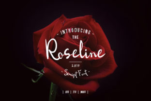 Roseline Script: A Handcrafted Typeface for Makers and Shops
