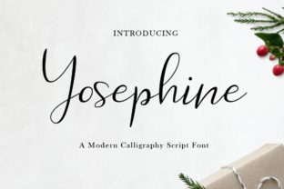Testing Yosephine Script for a Boutique Brand Hero Section